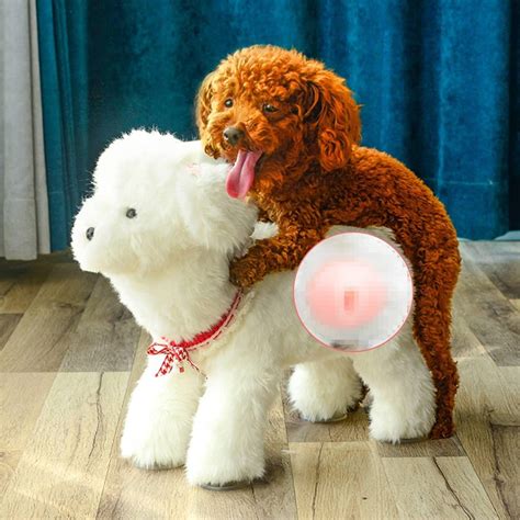 dog hump toy